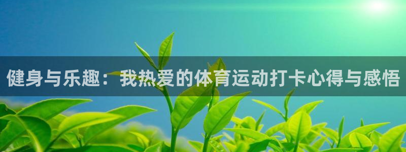 球速体育