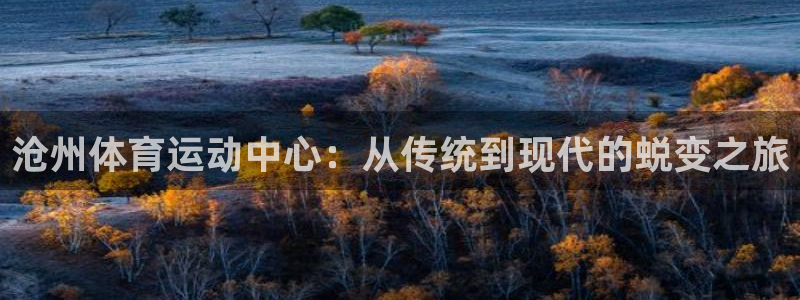 球速体育