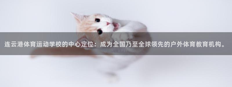 球速体育