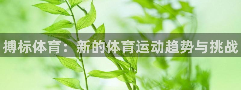 球速体育