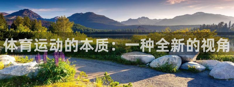 球速体育