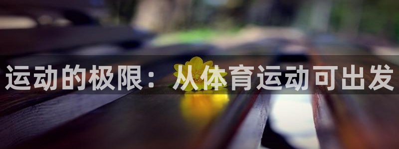 球速体育